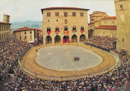 Pistoia Piazza Del Duomo In Occasione Della Giostra Dell'orso - Other & Unclassified