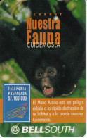 TARJETA DE ECUADOR DE UN MONO ARAÑA (MONKEY) VALIDEZ 30 DIAS - Ecuador