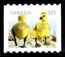 Canada (Scott No.2428 - Canard / Duck) (o) Bande / Coil - Gebraucht