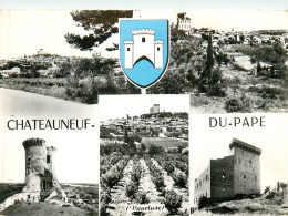 84* CHATEAUNEUF DU PAPE Multi-vues (CPSM 10x15cm)    RL19,0119 - Chateauneuf Du Pape