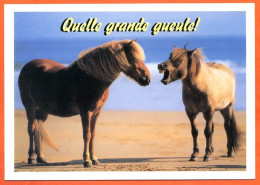 Animal Cheval Humour 2  Chevaux Quelle Grande Gueule !  Carte Vierge TBE - Pferde