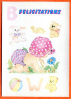 Félicitations Naissance Bébé Jouets Carte Vierge TBE - Birth