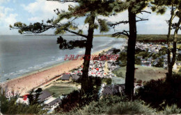 CPSM CAROLLES EDENVILLE - MANCHE - LA PLAGE A TRAVERS LES ARBRES - Autres & Non Classés