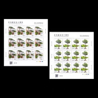 China 2024/2024-11 Trees: China — Malaysia Joint Issues Stamp Full Sheet 2v MNH - Nuevos