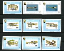 Belize, MiNr. 420-428 B, Postfrisch - Belice (1973-...)