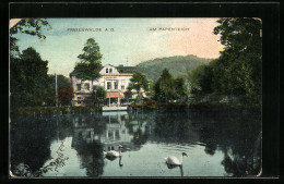 AK Freienwalde A. O., Am Papenteich  - Bad Freienwalde