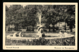 AK Rostock, Brunnen Im Rosengarten  - Rostock