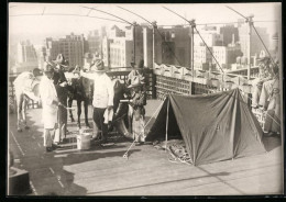 Fotografie Fotograf Unbekannt, Ansicht New York City, Cowboys Haben Sich Auf Einem Hotel-Dach Niedergelassen  - Places