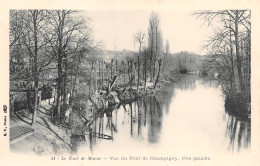 94 CHAMPIGNY LE TOUR DE MARNE LE PONT - Champigny Sur Marne