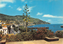 PORTUGAL MADEIRA FUNCHAL - Madeira