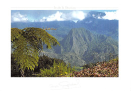 974 ILE DE LA REUNION PITON DANCHAING - Autres & Non Classés