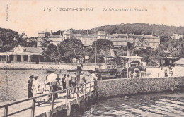 83 / TAMARIS / LE DEBARCADERE DE TAMARIS / TRES JOLIE CARTE - Tamaris