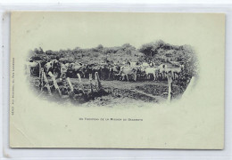 Tanganyika - A Flock From The Bagamoyo Mission - Publ. Dépôt Aux Missions  - Tanzanie