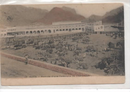 ADEN  10  ARIEE D UNE CARAVANE  DE CHAMEAUX - Yémen