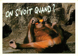 Animaux - Singes - Orang-Outan - Carte à Message - CPM - Voir Scans Recto-Verso - Singes