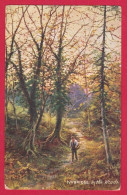 AE457 FANTAISIES SCENE CHAMPETRE BOIS AUTOMNE OILETTE N°7856 TUCK'S POST CARD - Tuck, Raphael