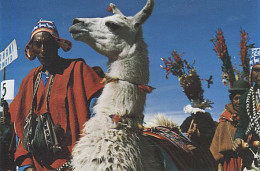 X115079 BOLIVIE BOLIVIA LLAMA LAMA CON INDIGENA - Bolivia