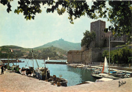 66 COLLIOURE - Collioure