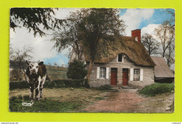 Vache Devant Chaumière Normande N°8 VOIR DOS Ma Normandie - Vaches