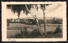 AK Oehringen, Ortspartie Mit Birken  - Oehringen