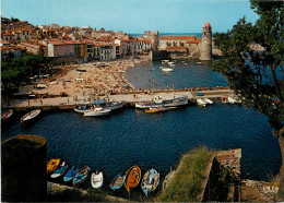 66 COLLIOURE - Collioure