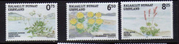 Groenland (2005) -  Flore - Fleurs -  Neufs** - MNH - Nuevos