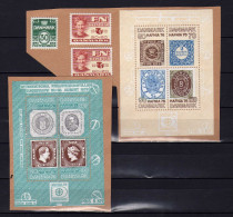 Danemark - (1975-76) -  BF - HAFNIA 76 -  Neufs  Sans Gomme - Blocs-feuillets