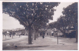 83 - Var - SAINTE MAXIME Sur MER  - Place Victor Hugo - Sainte-Maxime