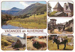 Animaux - Vaches - Auvergne - Multivues - Anes - Flamme Postale - CPM - Voir Scans Recto-Verso - Vaches