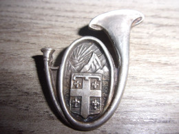 Insigne 2° Demi Brigade De Chasseurs Alpins - Troupes De Montagne - BCA - Cor - Landmacht