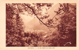 65-CAUTERETS-N°T5211-B/0285 - Cauterets