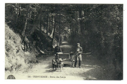 Tervuren  Tervueren   Drève Des Loups  ATTELAGE CHIEN  CHIENS - Tervuren