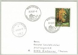 Liechtenstein 1987, Retournierte Postkarte Eschen - Eschenau (Oesterreich), Buchen / Hêtre / Beech, Wald / Forest - Storia Postale