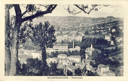 1929-cartolina Salsomaggiore Parma Panorama Affrancata 20c.Michetti - Parma