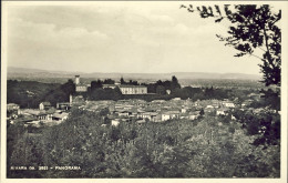 1947-cartolina Foto Rivara Panorama Affrancata Posta Aerea L.5 Rondini - Other & Unclassified