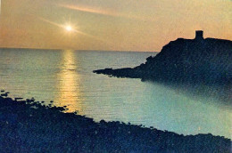 1966-cartolina Alghero Sassari Tramonto A Tramariglio Affrancata L.20 Flora Isol - Sassari