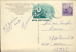 1971-Austria Con Bel Timbro Verde Wien Hinterbrul (il Più Vasto Lago Sotterraneo - Briefe U. Dokumente