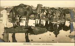 1911/12-"Guerra Italo-Turca,Bengasi Cammellieri Alla Giuliana" - Libië