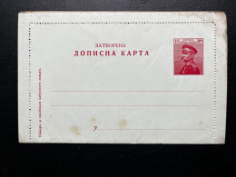 ENTIER POSTAL RUSSIE NEUF - Lettres & Documents