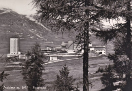 1951-Torino Sestriere Panorama, Cartolina Viaggiata - Sonstige & Ohne Zuordnung