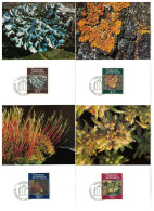 Liechtenstein Mosses And Lichens 4v Maxicards 1981 SG#771-774 MI#776-779 - Usati