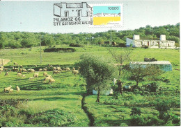 31063 - Carte Maximum - Portugal - Arquitetura Popular - Monte Casa Alentejana Alentejo - Maison Typique Typical House - Maximumkarten (MC)