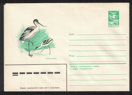 USSR Pied Avocet Bird Pre-paid Envelope 1983 - Oblitérés