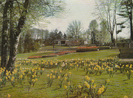 Saarbrücken Dt.-franz.Gartenschau 1960 Gl1960 #C4362 - Autres & Non Classés