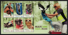 Australia Owl Bird Wombat Kangaroo Koala Fox Wildlife MS 2010 MNH SG#MS3498 - Nuovi