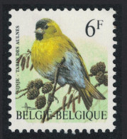 Belgium Spruce Siskin Bird Buzin 'Tarin Des Aulnes' 6f 1996 MNH SG#3308 MI#2716 Sc#1627 - Nuevos