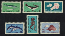 Bulgaria Sturgeon Jellyfish Dolphins Ray Fish Black Sea Fauna 6v 1961 MNH SG#1251-1256 - Ungebraucht