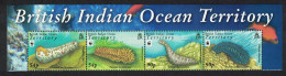 BIOT WWF Sea Cucumbers Top Strip Name 2008 MNH SG#392-395 MI#470-473 Sc#361-364 - Territorio Británico Del Océano Índico