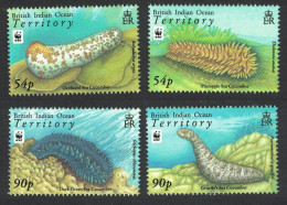 BIOT WWF Sea Cucumbers 4v 2008 MNH SG#392-395 MI#470-473 Sc#361-364 - Territorio Británico Del Océano Índico