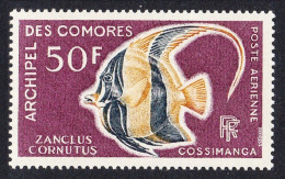 Comoro Is. Moorish Idol Fish 'Zanclus Cornutus' 50f 1968 MNH SG#71 MI#90 Sc#C23 - Sonstige & Ohne Zuordnung